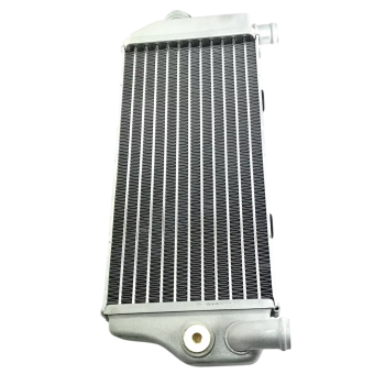 Radiatore SX Originale Beta...