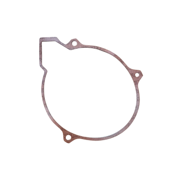 Guarnizione coperchio...