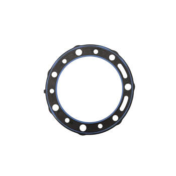 Guarnizione testa Beta...