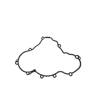 Guarnizione Coperchio...